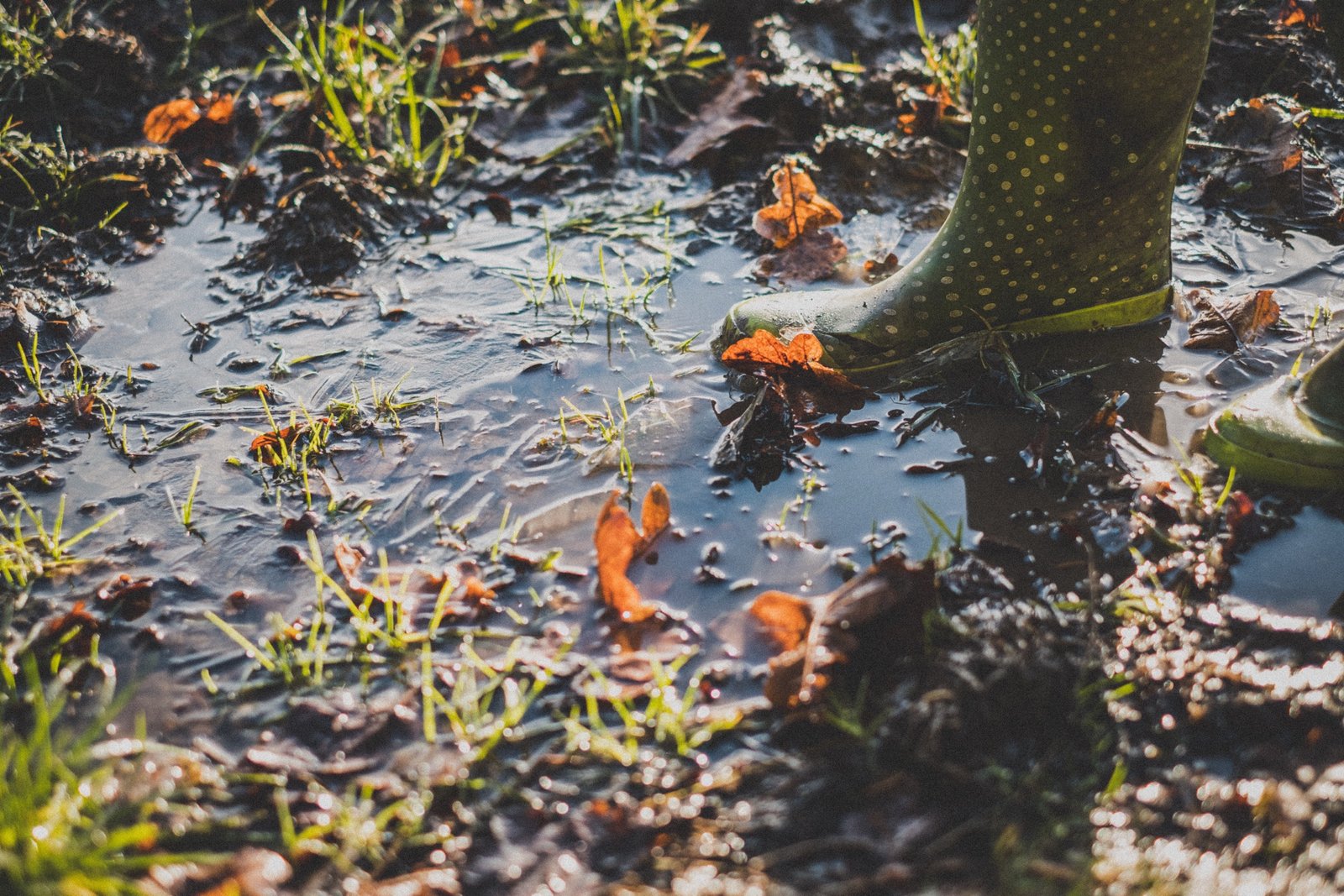 Groene regenlaarzen in een modderige plas met herfstbladeren, zonlicht op het water